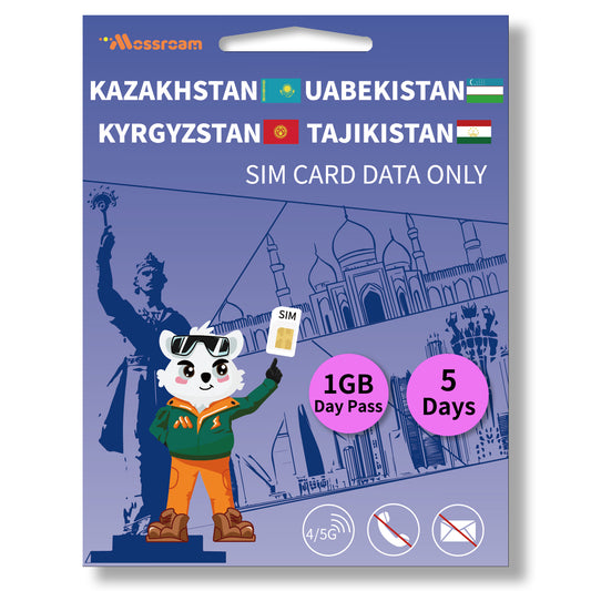 Central Asia 4 Countries SIM Card